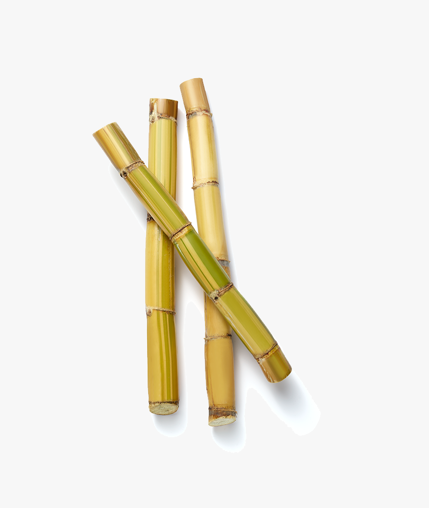 Bamboo, HD Png Download, Free Download