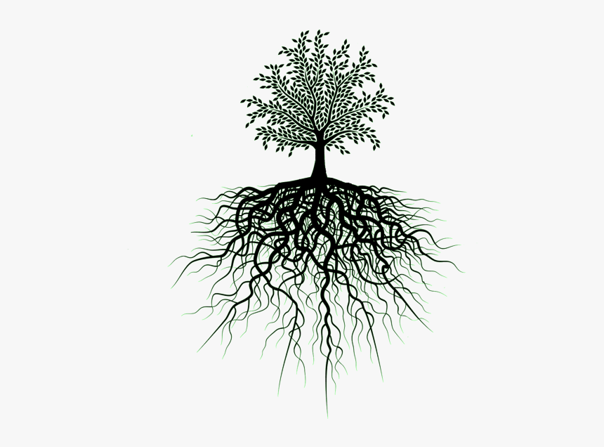 Thumb Image - Tree Of Life Transparent, HD Png Download, Free Download