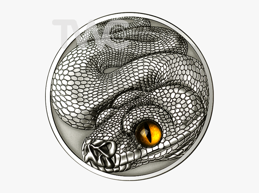 Samoa 2013 10$ Year Of The Snake Antique Finish Silver - Samoa 10 Dollar 2013 Snake, HD Png Download, Free Download