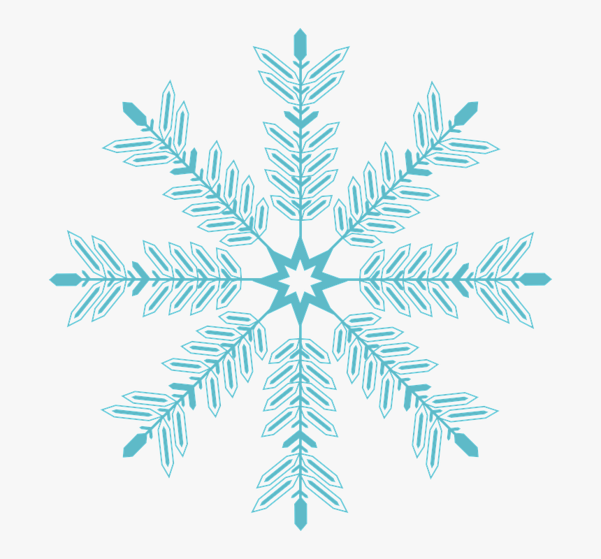 Spruce, HD Png Download, Free Download