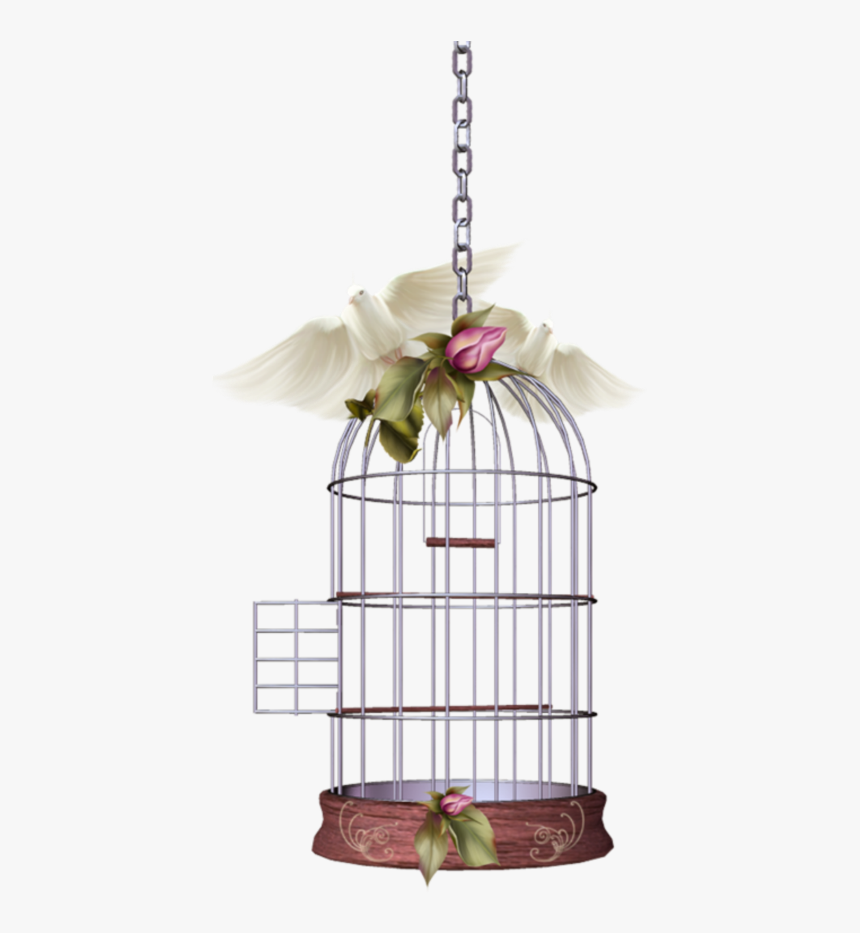 #mq #white #dove #birds #birdcage - Beautiful Cage Bird Png, Transparent Png, Free Download