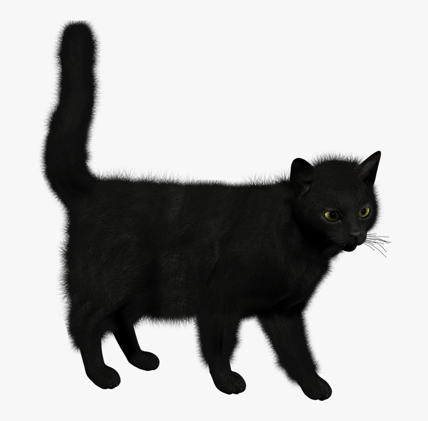 Cat Png Image - Black Cat Transparent Background, Png Download, Free Download