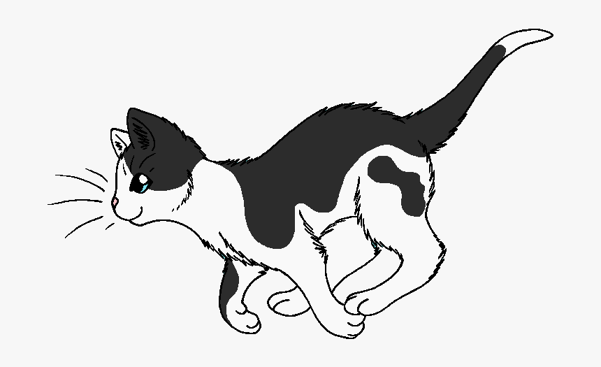 Transparent Small Star Png - Warrior Cat Transparent Background, Png Download, Free Download