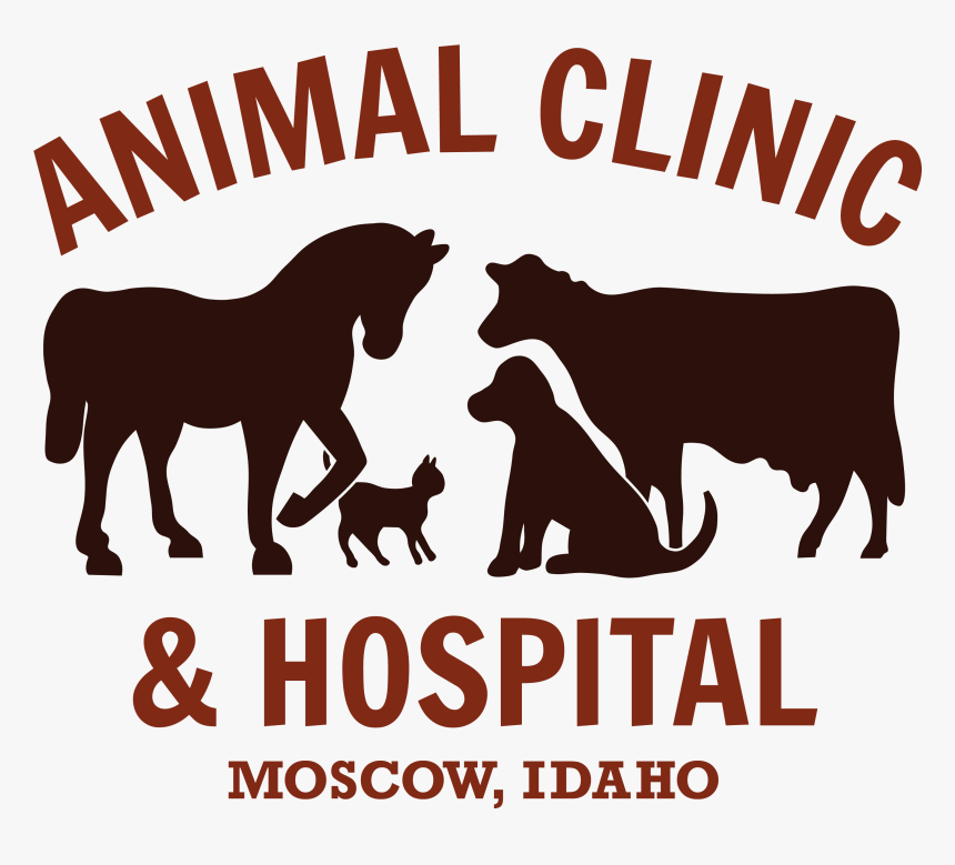 Animal Clinic & Hospital - Animal Clinic, HD Png Download, Free Download