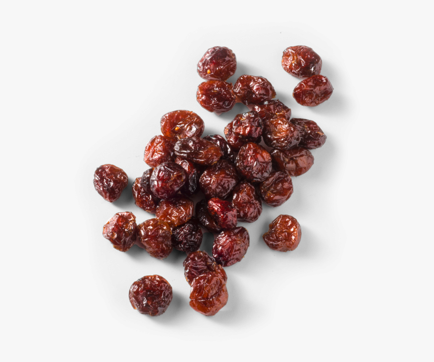 Cranberry Vector Single - Seedless Fruit, HD Png Download, Free Download