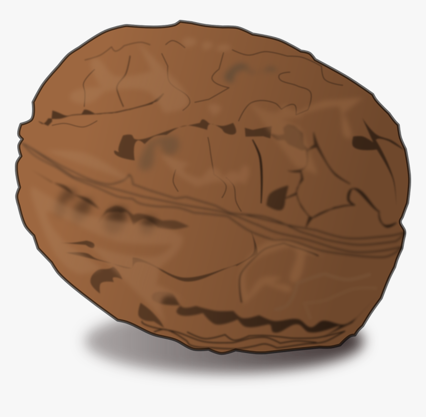 Walnut Nut Food Free Photo - Cartoon Walnut Images Png, Transparent Png, Free Download