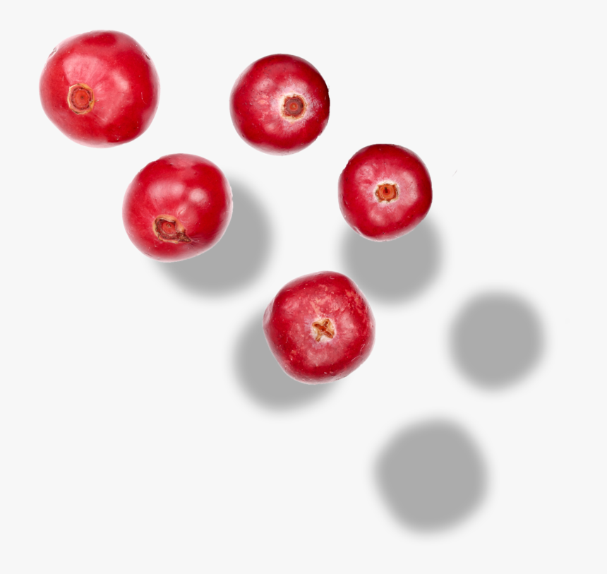 Cranberries - Frutti Di Bosco, HD Png Download, Free Download