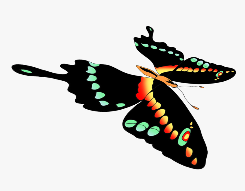 Moths And Butterflies, HD Png Download, Free Download