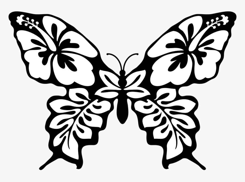 Butterfly, Moth, Insect, Wing, Beautiful, Bug, Pattern - Flower Butterfly Line Art, HD Png Download, Free Download