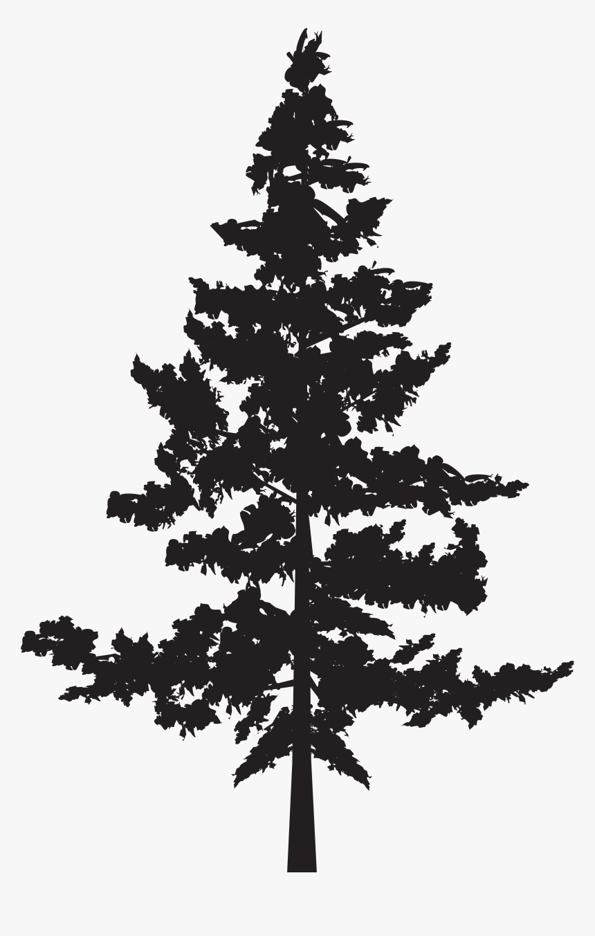 Forest Shilouettes - Png Pine Trees Silhouette, Transparent Png, Free Download