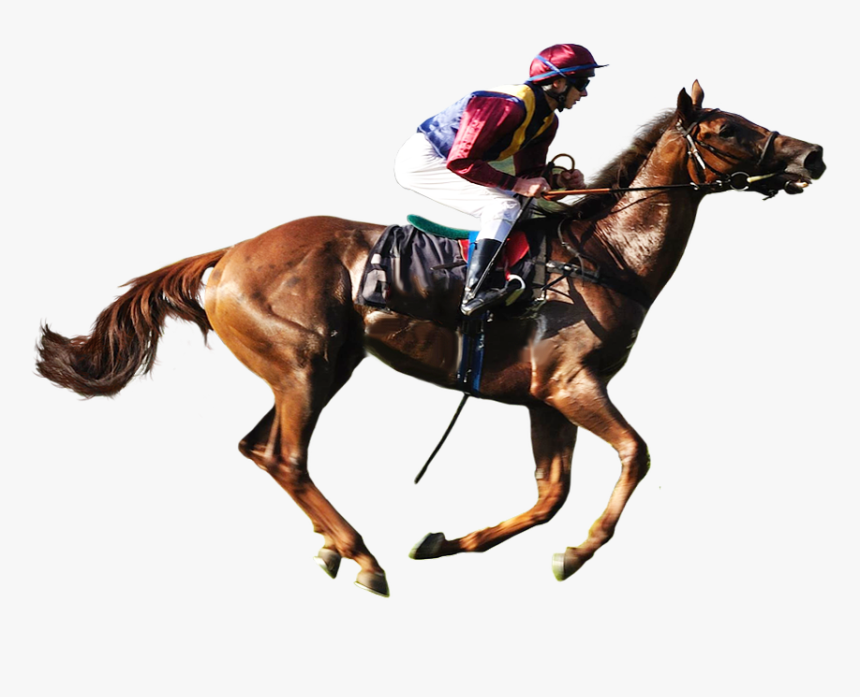 Transparent Race Horse Png - Horse Racing Transparent Background, Png Download, Free Download