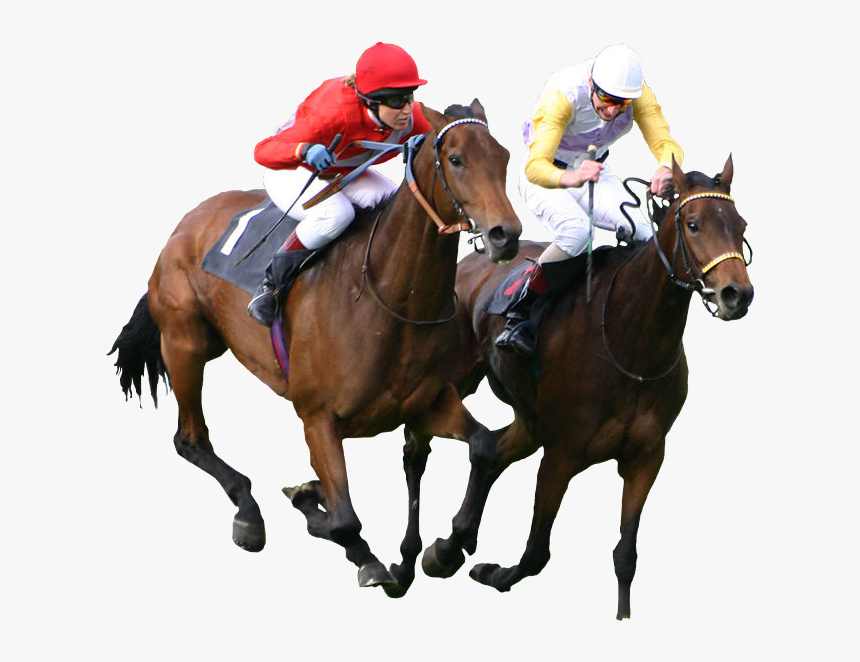 Transparent Horse Png - Horse Racing Transparent Background, Png Download, Free Download