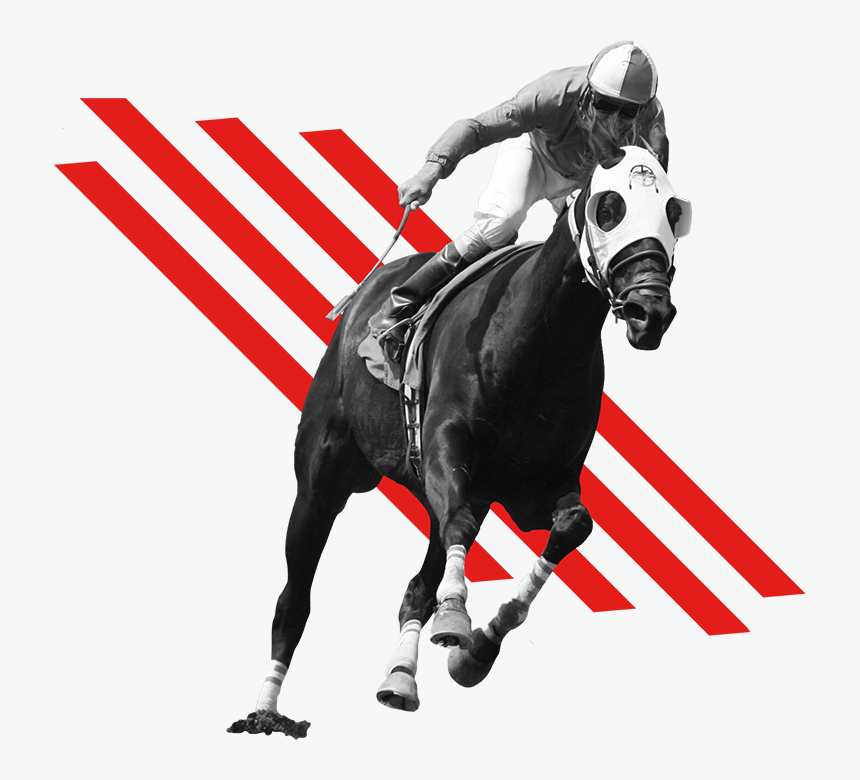 Transparent Horses Png - Horse Race Png, Png Download, Free Download