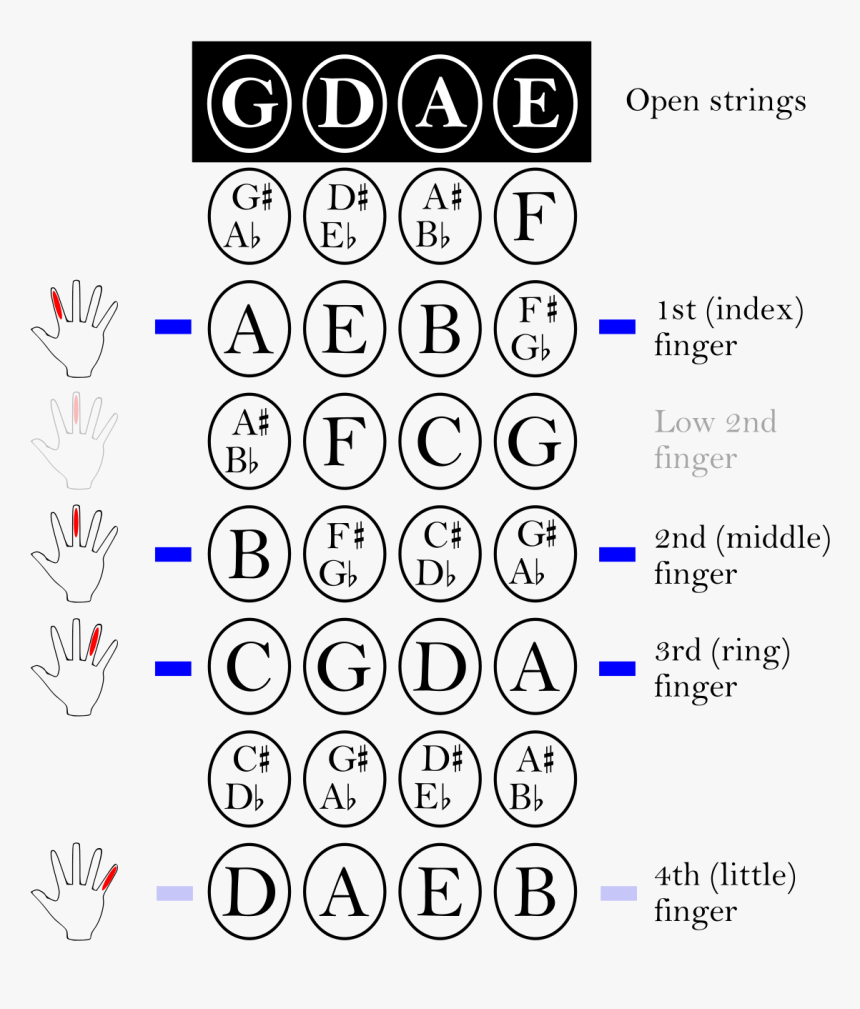 Violin Fingering Chart, HD Png Download, Free Download