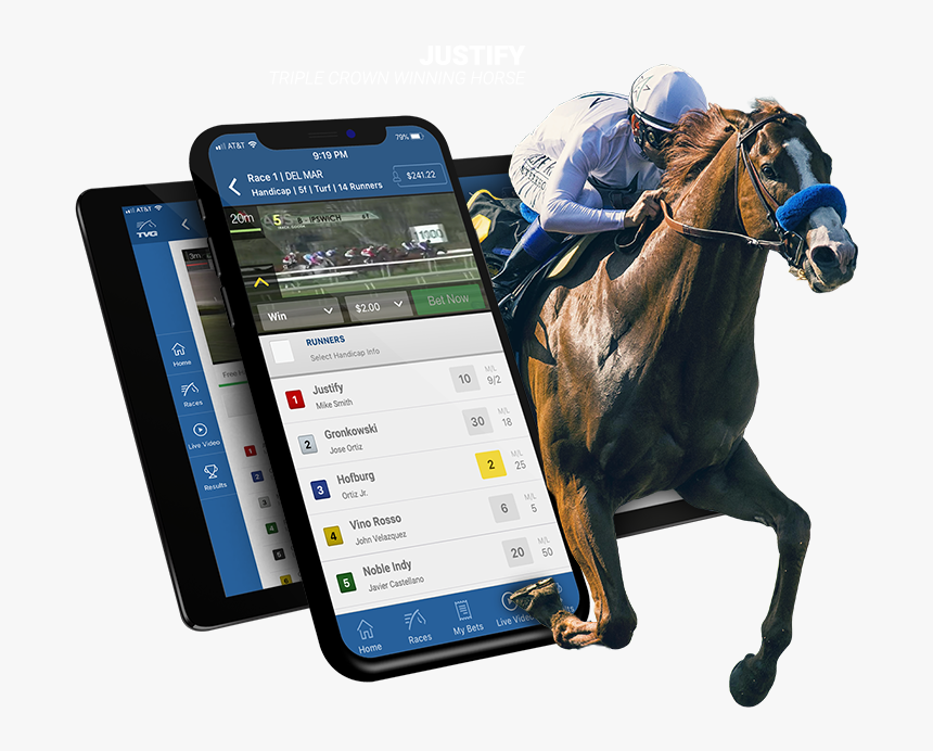 Horse Racing Png, Transparent Png, Free Download