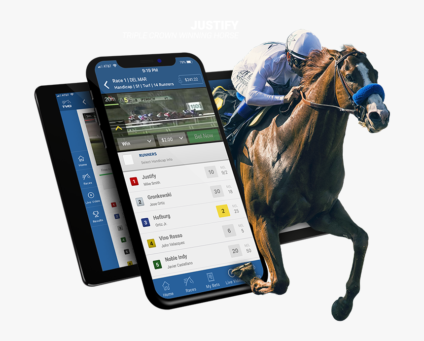 horse betting account horse betting account