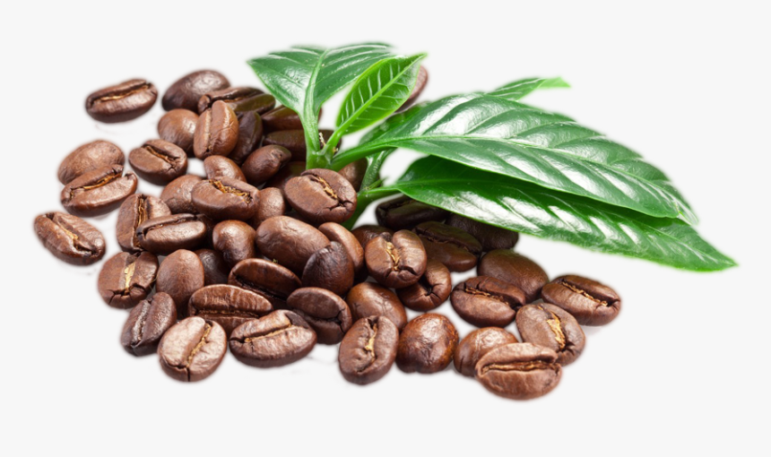 Coffee Beans With Leaf Png - Coffee Beans Transparent Background, Png Download, Free Download