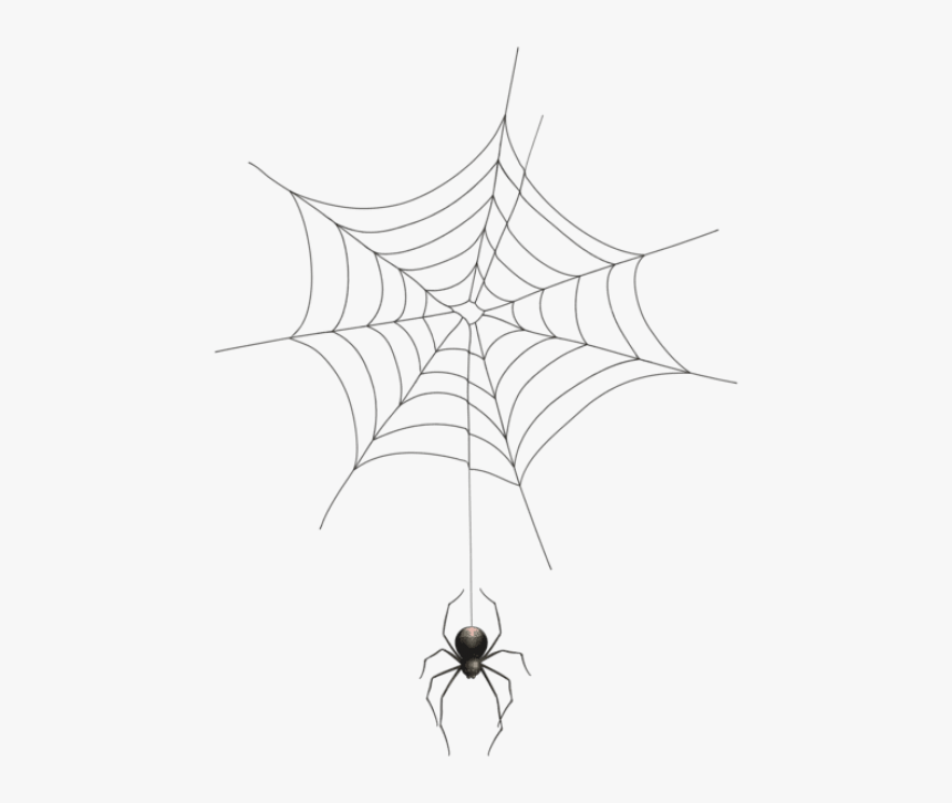 Spider Web Png Transparent Background - Transparent Background Spider Web Png, Png Download, Free Download