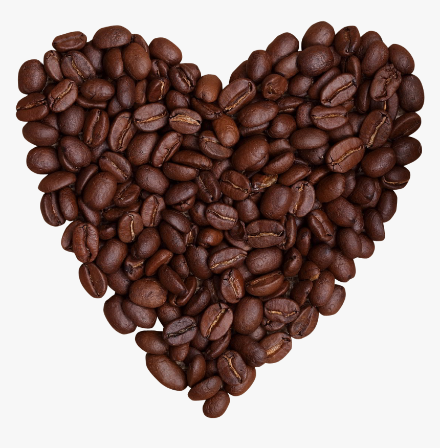 Coffee Bean No Background, HD Png Download, Free Download