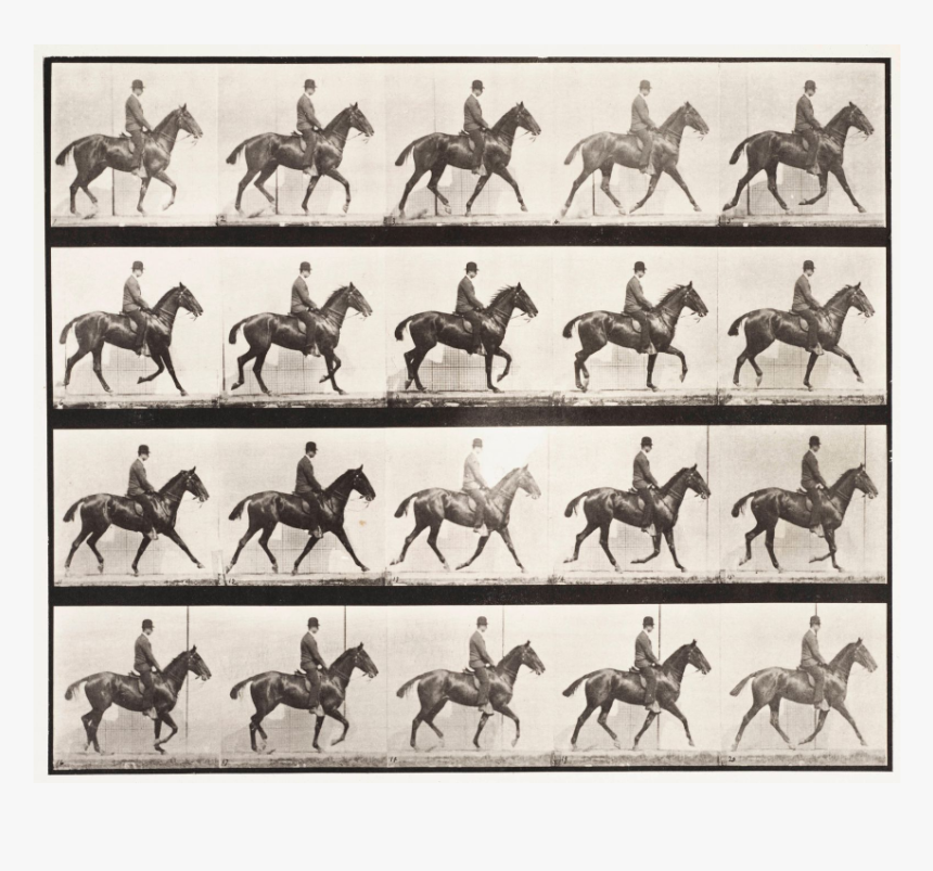 History Of Horse Racing, HD Png Download, Free Download