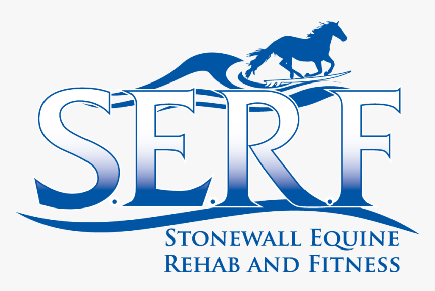 Welcome To Stonewall Equine Rehabilitation And Fitness - Stallion, HD Png Download, Free Download