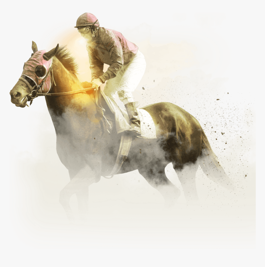 Bob Rothman - Stallion, HD Png Download, Free Download