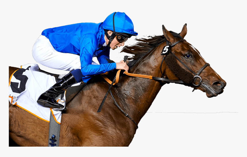 Always Back Winners Horse Racing Tips - Mare, HD Png Download, Free Download