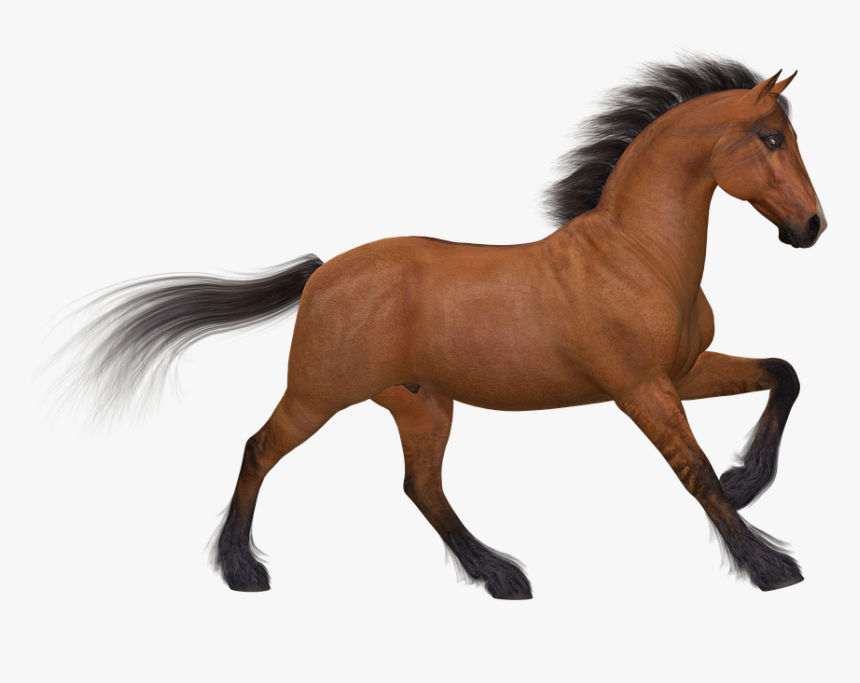 Picture Of A Running Horse 2, Buy Clip Art - Silhouette Of Animals Png, Transparent Png, Free Download