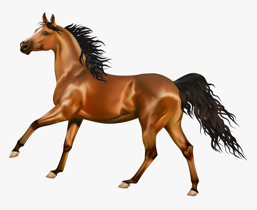 cavalo adesivo transparente png 27187659 PNG