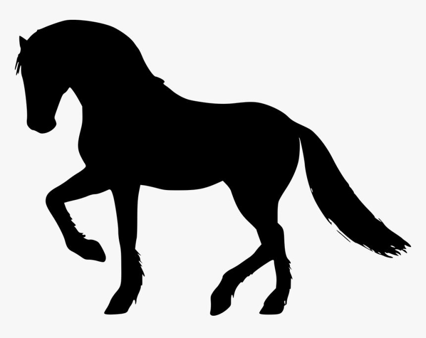 Silhueta, Cavalo, Galope, Hipismo, Animal, Onívoro - Horse Silhouette Galloping, HD Png Download, Free Download