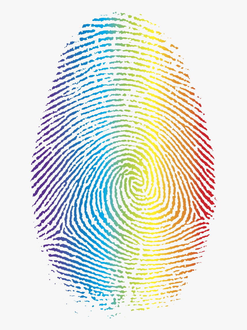 Color"s Fingerprint - Fibonacci Spiral In Fingerprint, HD Png Download, Free Download