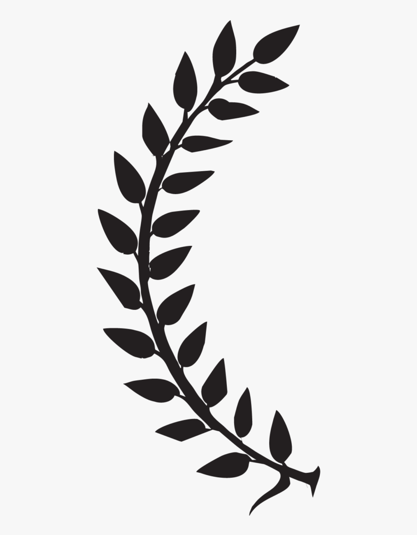 Laurel Leaves Left-01 - Transparent Background Laurel Leaves Png, Png Download, Free Download