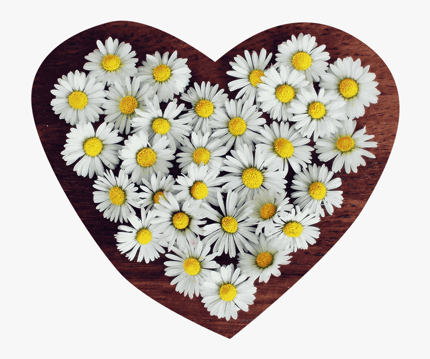 Flower Png Heart Transparent - Profile Icon Whatsapp Flower, Png Download, Free Download