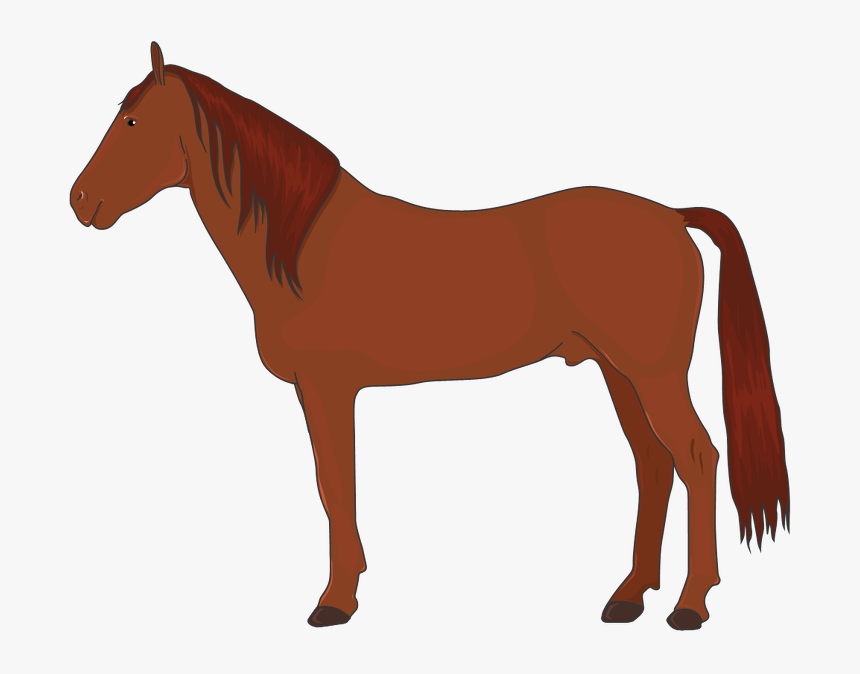 Лошадь Вектор Пнг , Png Download - Cartoon Horse Vector, Transparent Png, Free Download