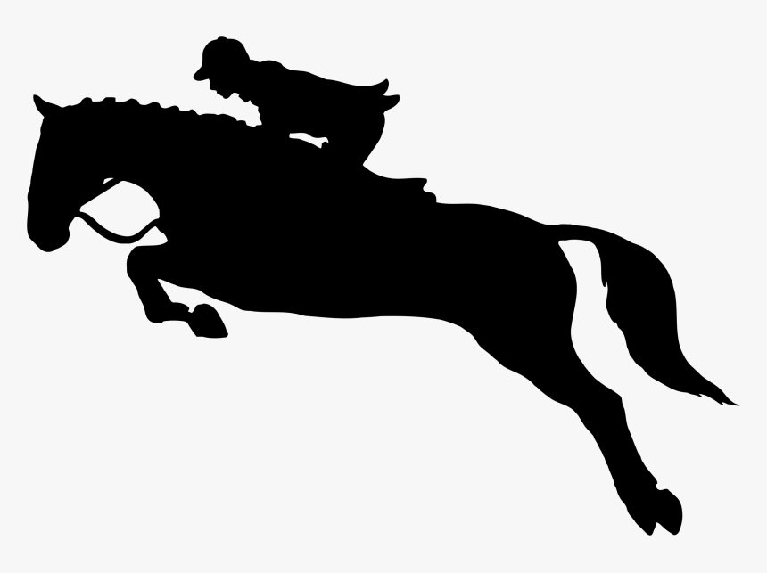 Horse Show Jumping Equestrian Clip Art - Horse Jumping No Background, HD Png Download, Free Download