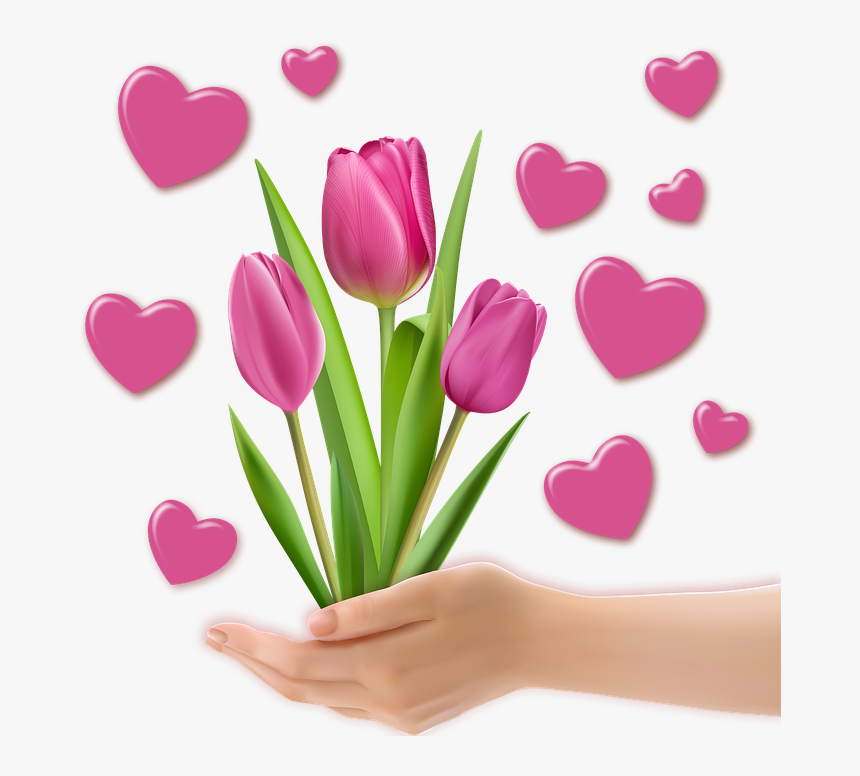 Png Image, Decoration, Tulips, Heart, Valentine, Hands - Tulip, Transparent Png, Free Download