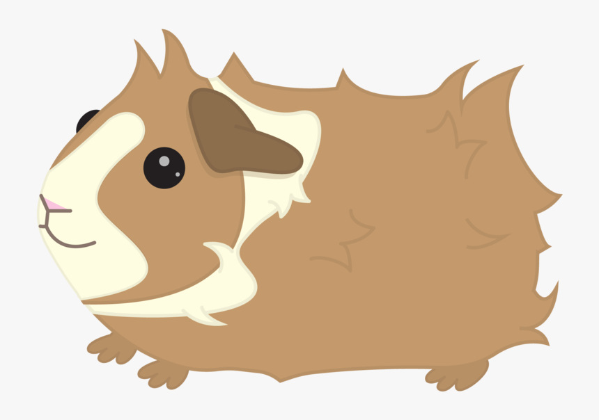 Clipart Guinea Pigs - Guinea Pig Clipart Png, Transparent Png, Free Download