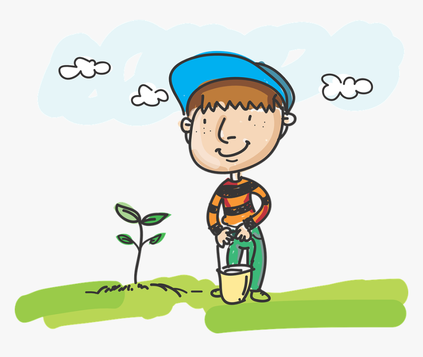 Plant Tree Cartoon Png, Transparent Png, Free Download