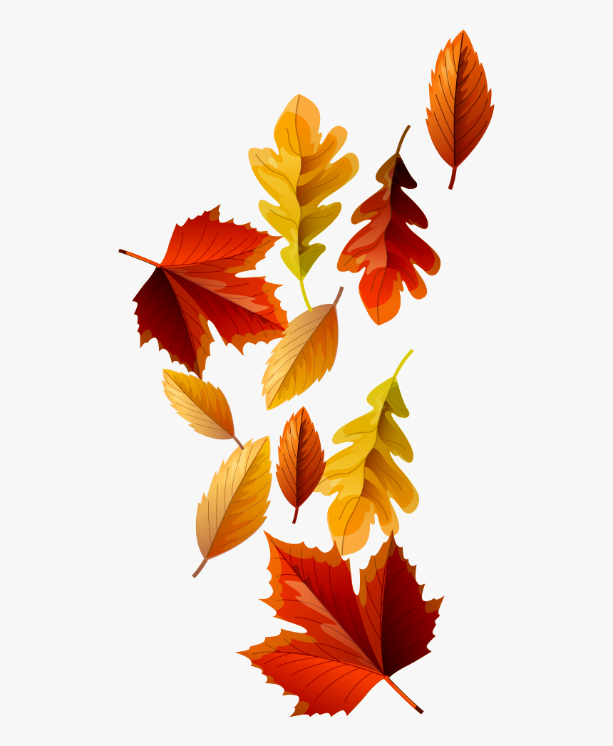 Fall Leaves - Autumn, HD Png Download, Free Download