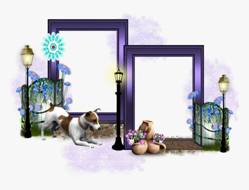 Jrframe2 - Russell Terrier, HD Png Download, Free Download