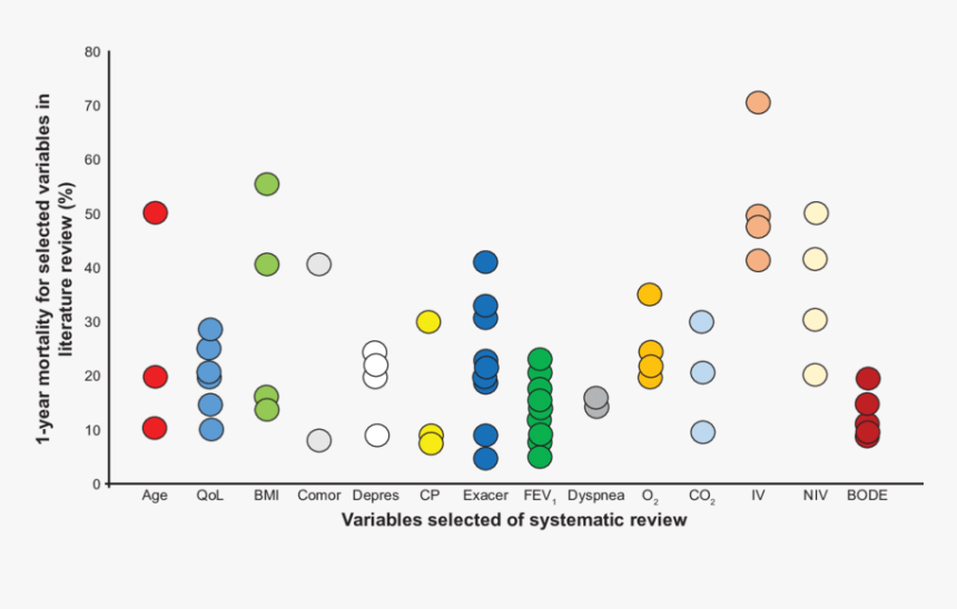 Systematic Review, Number Of Studies And 1-year Mortality - Circle, HD Png Download, Free Download