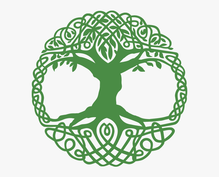 Download Celtic Tree Of Life Clipart , Png Download - Celtic Tree Of Life Svg, Transparent Png - kindpng