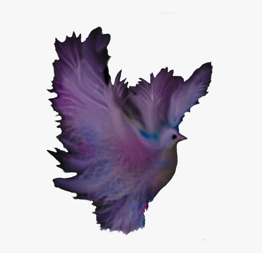 Transparent Purple Feather Png - Portable Network Graphics, Png Download, Free Download