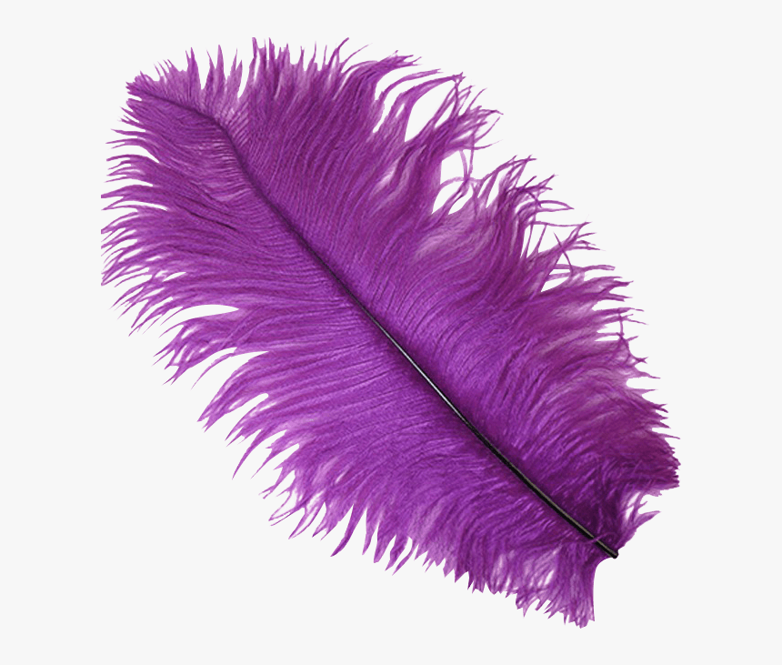 Purple Ostrich Feather Plume - Transparent Background Purple Feather Clipart, HD Png Download, Free Download