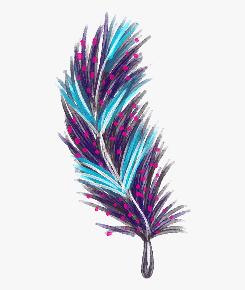 Feather Euclidean Vector - Feather Png Vector, Transparent Png, Free Download