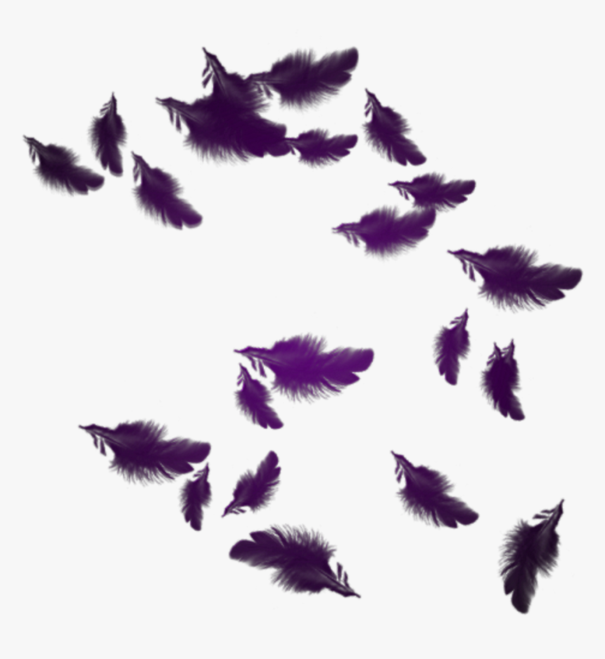 Mq Purple Feather Feathers Floating - Floating Feathers Png, Transparent Png, Free Download