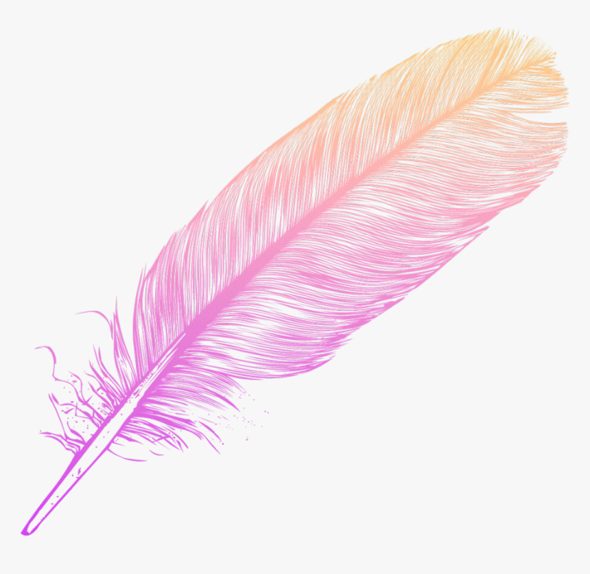 #ombre #feather #feathers #native #boho #pretty #decals - Feather Ombre, HD Png Download, Free Download
