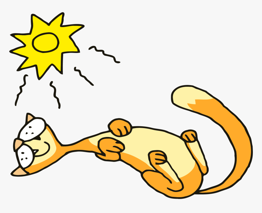 Cat Sleeping Png Clipart - Cat In Sun Clipart, Transparent Png, Free Download