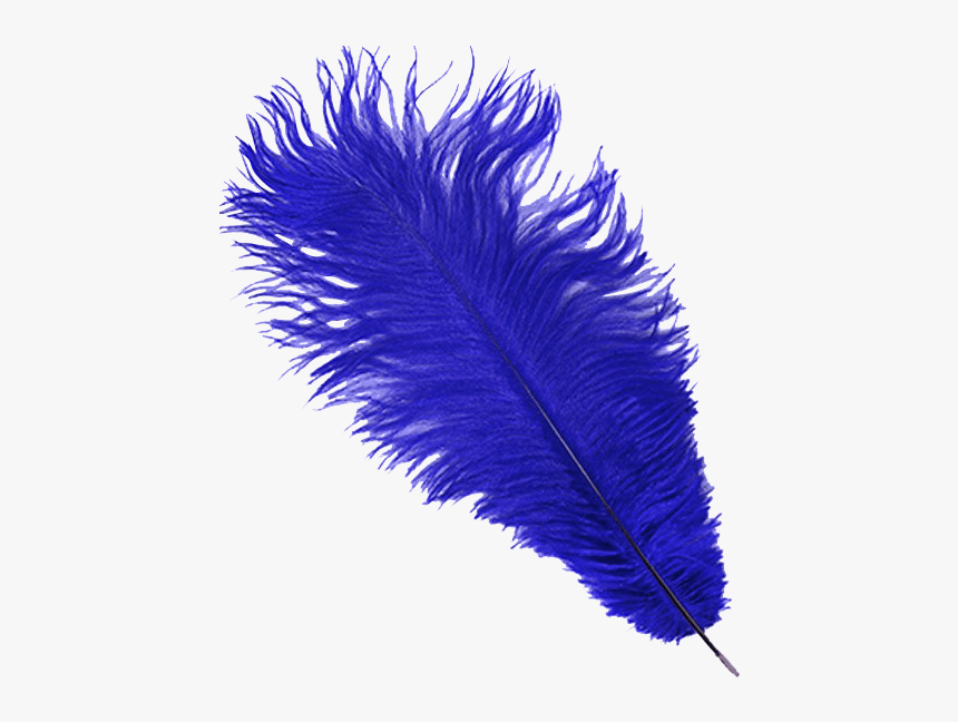 Regal Blue Ostrich Feather Plume - Feather, HD Png Download, Free Download