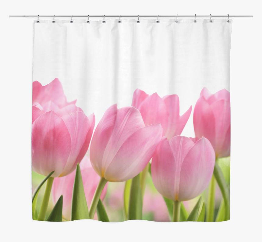 Transparent Pink Curtain Png - Shower Curtain Tulips, Png Download, Free Download